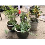 FOUR LARGE GARDEN PLANTERS