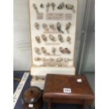 A COLLECTION OF CLAY PIPE BOWLS, A TOBACCO BARREL AND A STOOL