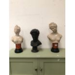TWO COMPOSITION BUSTS OF CLASSICAL LADIES TOGETHER WITH A BLACK COMPOSITION BUST OF APOLLO