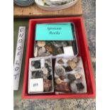 A COLLECTION OF AMMONITES, FOSSIL FISH, SPECIMEN STONES, CRYSTALS TOGETHER WITH A FRAME OF VARIOUS