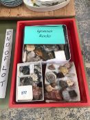 A COLLECTION OF AMMONITES, FOSSIL FISH, SPECIMEN STONES, CRYSTALS TOGETHER WITH A FRAME OF VARIOUS