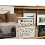 A GROUP OF FRAMED AND UNFRAMED DECORATIVE PICTURES BY VARIOUS HANDS.