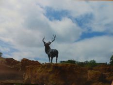 HAMISH MACKIE (B. 1973), A PHOTOGRAPHIC PANEL, STAG, 17/18. 81.28 x 121.92cms.