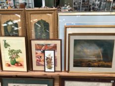 A GROUP OF FURNISHING PICTURES INCLUDING TWO LARGE WATERCOLOURS SIGNED M. CLARKE. SIZES VARY