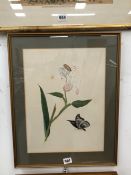 A 19th C. ENGLISH SCHOOL. INSECTS AND ORCHID BLOSSOM, WATERCOLOUR. 38 x 29cms
