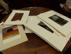 A COLLECTION OF MOUNTED PHOTOGRAPHS BY ROSENGARD, WAITE AND OTHERS