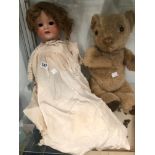 A KOPPELSDORF GERMANY, 1330, A.9.M DOLL TOGETHER WITH A JOINTED TEDDYBEAR.