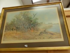 A PENCIL SIGNED COLOUR PRINT AFTER DAVID SHEPHERD "THE GREATER KUDU" 48 x 78 cms