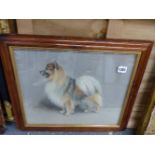 A PASTEL STUDY OF A DOG SIGNED W.FRANK CALDOWN.