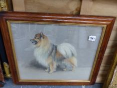 A PASTEL STUDY OF A DOG SIGNED W.FRANK CALDOWN.