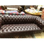 A BROWN LEATHER BUTTON UPHOLSTERED CHESTERFIELD SETTEE. W 235cms.