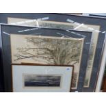 TWO CONTEMPORARY COLOURED ETCHINGS, TREE STUDIES TOGETHER WITH AN EARLIER ETCHING SIGNED