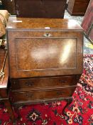 A MODERN BURR WOOD BUREAU, THE FALL ABOVE TWO DRAWERS AND CABRIOLE LEGS CARVED AT THE KNEES WITH