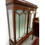 AN EDWARDIAN ADAM STYLE DISPLAY CABINET,THE TWO GLAZED DOORS WITH SHAPED GLAZING BARS ABOVE CANTED