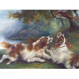 ATTRIBUTED TO GEORGE ARMFIELD (1808-1893 ) TWO SPANIELS CHASING A PHEASANT OIL ON BOARD, 11 x 14