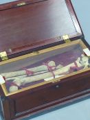 A MAHOGANY BOX CONTAINING THE BONES OF A SAINT, THE LID WITH A GLASS TOP AND REMOVABLE MAHOGANY