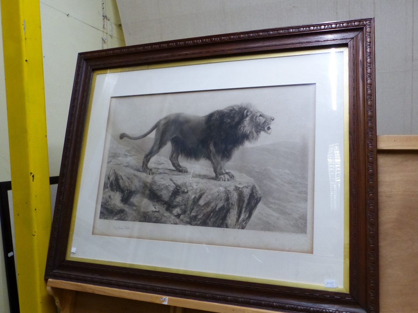FRED THOMAS SMITH (19th/20th C. ENGLISH SCHOOL) PAIR OF VINTAGE PRINTS OF LIONS, PENCIL SIGNED. 55 x - Image 2 of 4