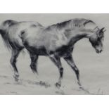 20th C. SCHOOL PORTRAIT OF A HORSE, SIGNED INDISTINCTLY, CHARCOAL DRAWING, UNFRAMED. 43 x 49cms