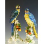 A PAIR OF EARLY 20th C. GERMAN PARROTS PERCHED ON TREE TRUNKS GROWING ORANGE FRUIT, M WITHIN