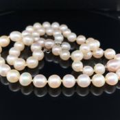 AN ANTIQUE ROW OF GRADUATED NATURAL PEARLS. VARYING IN SIZE, 5.6mm TO 7.1mm. LENGTH 45cms. PLEASE