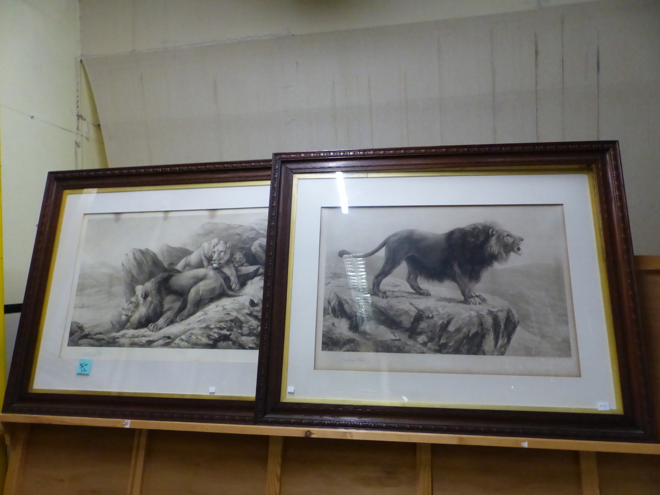 FRED THOMAS SMITH (19th/20th C. ENGLISH SCHOOL) PAIR OF VINTAGE PRINTS OF LIONS, PENCIL SIGNED. 55 x - Image 4 of 4