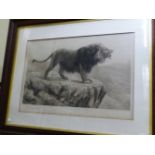 FRED THOMAS SMITH (19th/20th C. ENGLISH SCHOOL) PAIR OF VINTAGE PRINTS OF LIONS, PENCIL SIGNED. 55 x