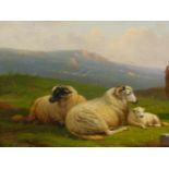 CORNELIUS VAN LEEMPUTTEN (1841-1902 ) " THE QUIET PASTURE" SIGNED OIL ON BOARD, GALLERY LABEL VERSO