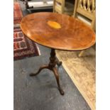 A 19th C. MAHOGANY TILT TOP TRIPOD TABLE, THE OVAL TOP INLAID WITH A CONCH SHELL WITHIN BARBERS POLE