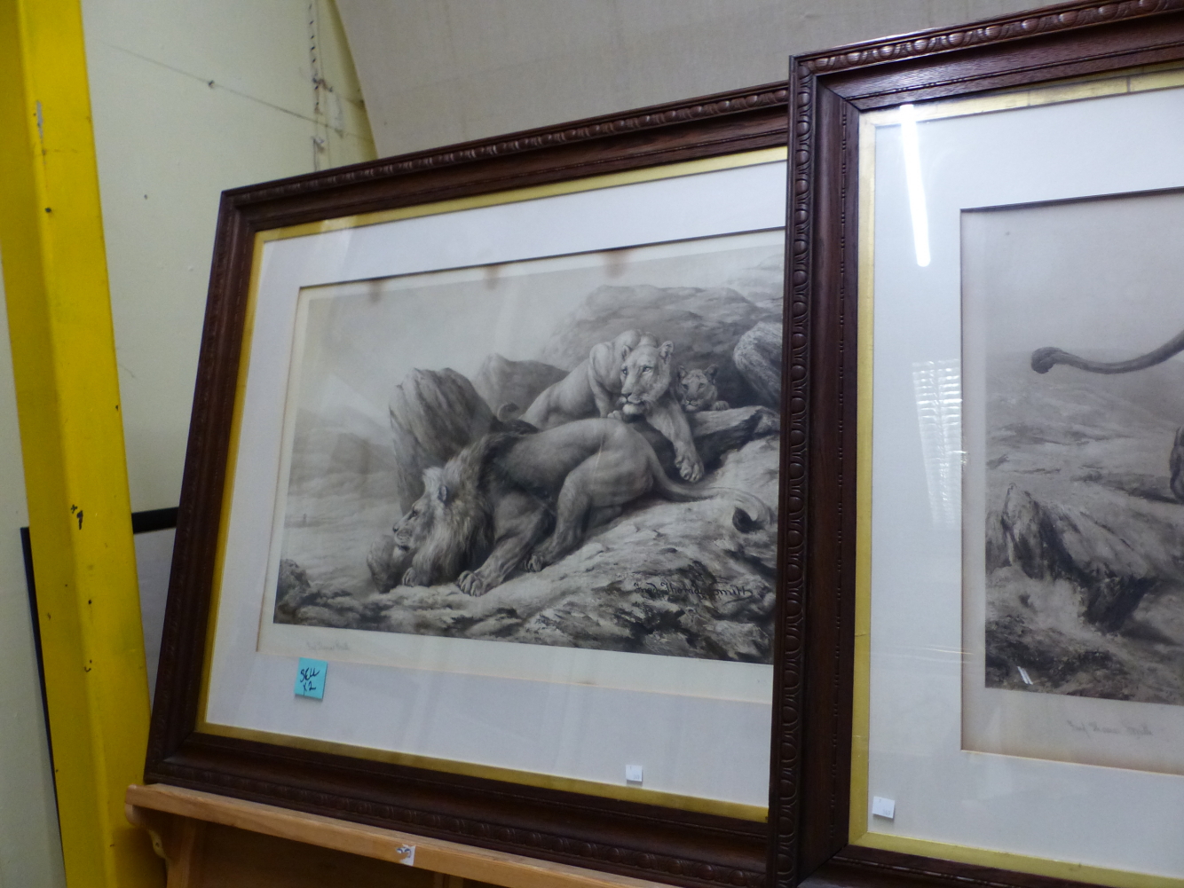 FRED THOMAS SMITH (19th/20th C. ENGLISH SCHOOL) PAIR OF VINTAGE PRINTS OF LIONS, PENCIL SIGNED. 55 x - Image 3 of 4