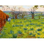 C. FENN (CONTEMPORARY SCHOOL) ARR.  SPRING DAFFODILS, SIGNED, OIL ON CANVAS. 52 x 62cms