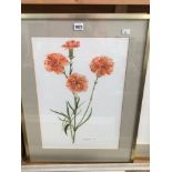 PENNY BAKER (20th CENTURY SCHOOL) ARR. THREE WATERCOLOURS OF FLOWERS, TOGETHER WITH A PRINT AFTER