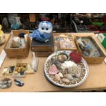SHELLS, SPECIMEN STONES, SHOTGUN CLEANING ACCESSORIES, DISHES, BIBLES AND AN OWL