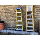 AN EXTENDING ALUMINIUM LADDER AND TWO STOP LADDERS