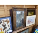 A GROUP OF VINTAGE LANDSCAPE PRINTS TOGETHER WITH A FRAMED DISPLAY OF BUTTERFLIES