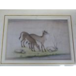 INDO-PERSIAN SCHOOL, A WATERCOLOUR OF TWO DEER 17 x 24cms.