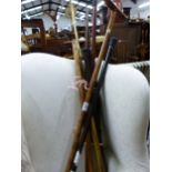 VARIOUS WALKING STICKS