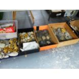 A COLLECTION OF VARIOUS FOSSILS