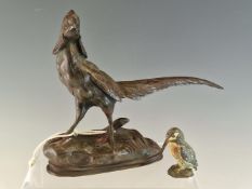 A 19th C. BRONZE FIGURE OF A COCK PHEASANT. W 21cms. TOGETHER WITH AN AUSTRIAN COLD PAINTED BRONZE