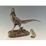 A 19th C. BRONZE FIGURE OF A COCK PHEASANT. W 21cms. TOGETHER WITH AN AUSTRIAN COLD PAINTED BRONZE