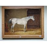 HENRY CALVERT (1798-1869), A DAPPLED GREY HORSE IN A STABLE, OIL ON CANVAS, SIGNED LOWER RIGHT. 53 x