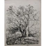 John Crome (British, 18th / Early 19th Century ) 'Three Trees' Original soft-ground etching,