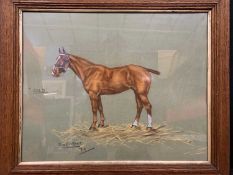 Olive Crosthwait (British 20th Century), a portrait of a horse, "Gold", mixed media, signed.15.5 x