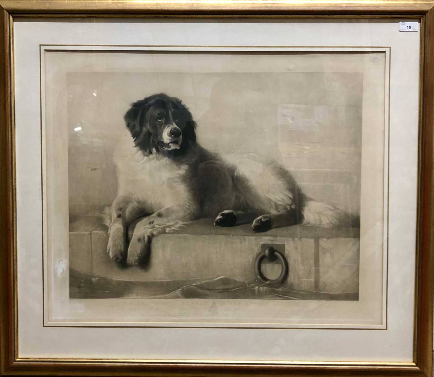 After Edwin Landseer (British, 19th Century), 'A Distinguished Member of the Human Society'.