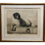 After Edwin Landseer (British, 19th Century), 'A Distinguished Member of the Human Society'.