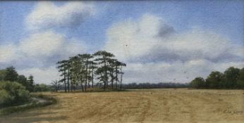 Rita Ling (British, Contemporary), East Anglian Landscape, watercolour, signed.5.5 x 10.5Qty: 1