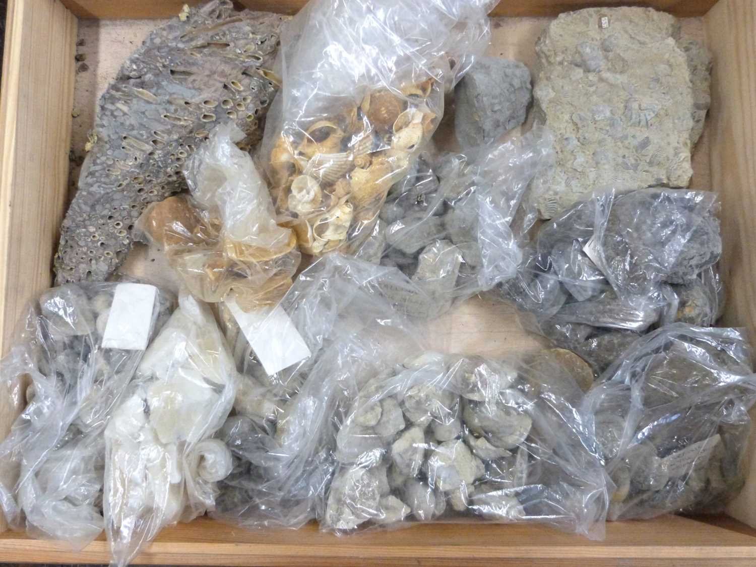Collection of mineralogical and soil samples housed in wooden storage boxes - Image 6 of 12