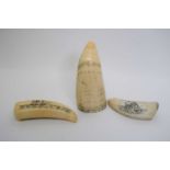 Number of scrimshaw tusks, decorated with ships, (3)