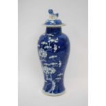 Chinese porcelain vase, blue ground with prunus decoration with matching cover and lion finial, 32cm