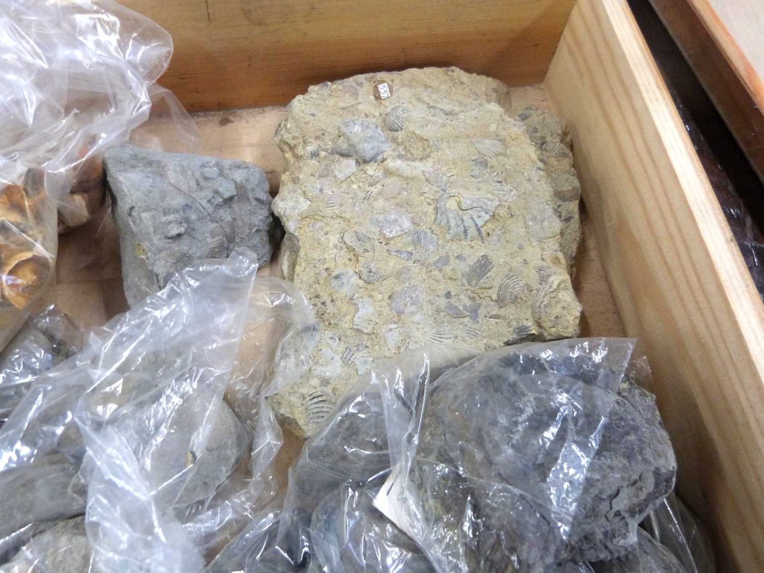 Collection of mineralogical and soil samples housed in wooden storage boxes - Image 8 of 12