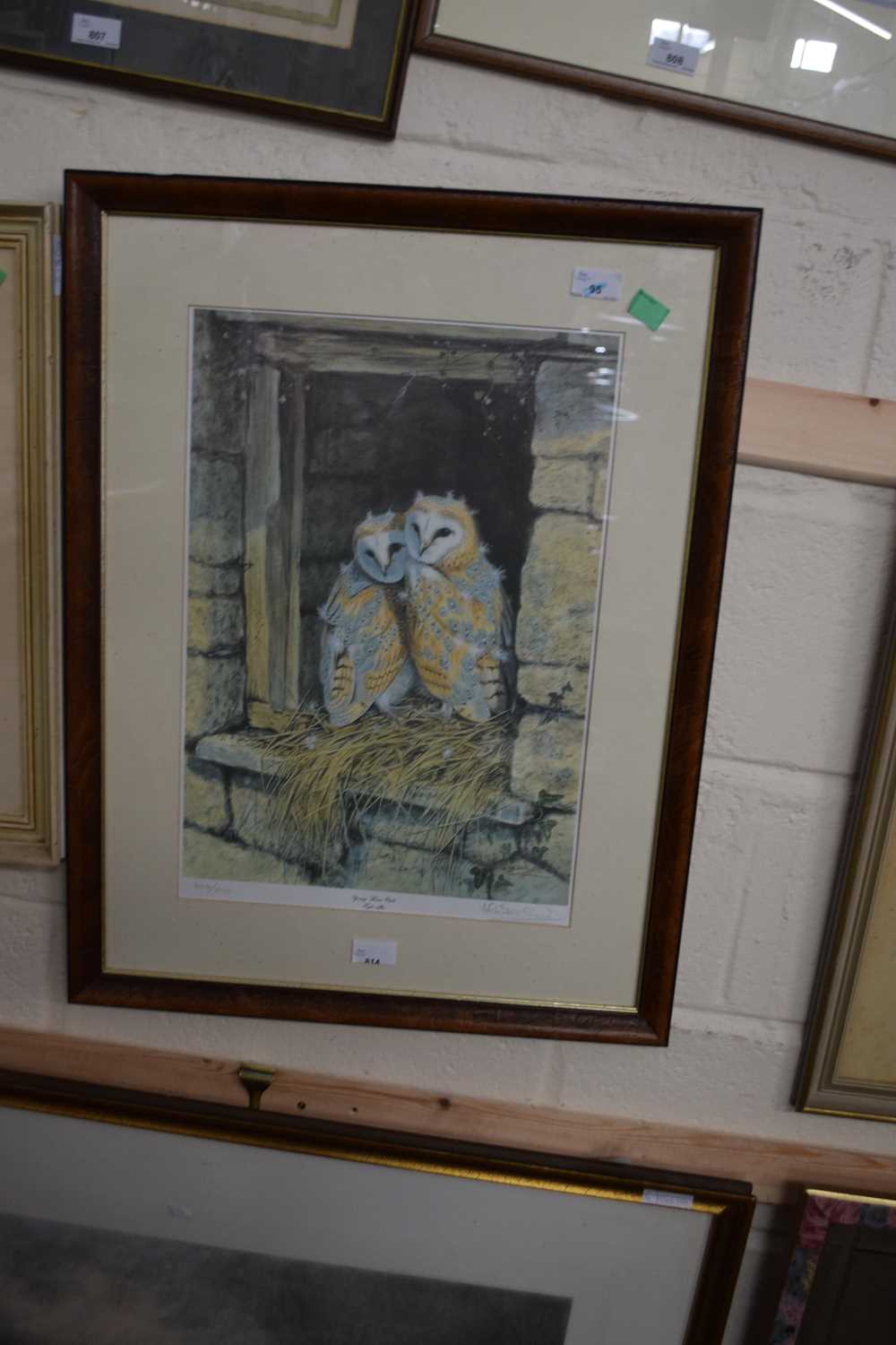 YOUNG BARN OWLS (TYTO ALBA), LTD ED PRINT, SIGNED, 606/850, 19x13ins